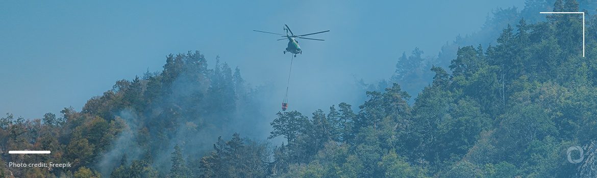 Forest fires turn more extreme and common, destroying millions of hectares across countries Forest fires turn more extreme and common, destroying millions of hectares across countries