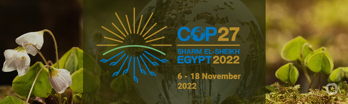 COP27 COP27