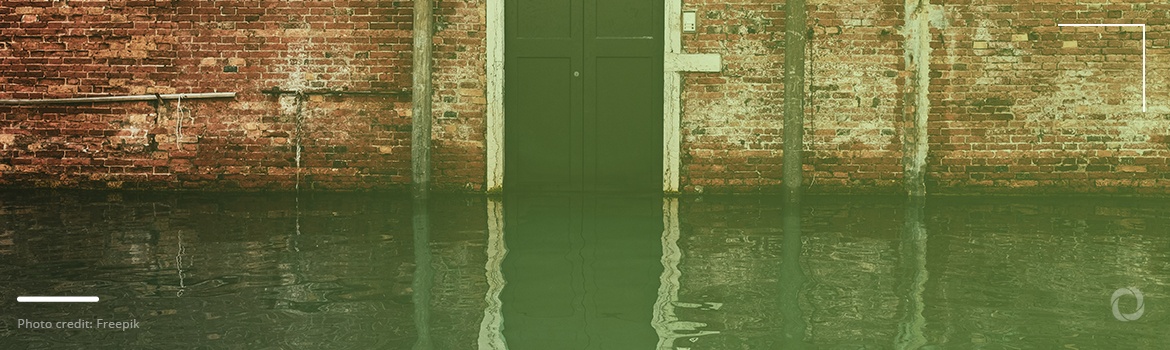 Top 5 countries with the highest risk of flooding Top 5 countries with the highest risk of flooding