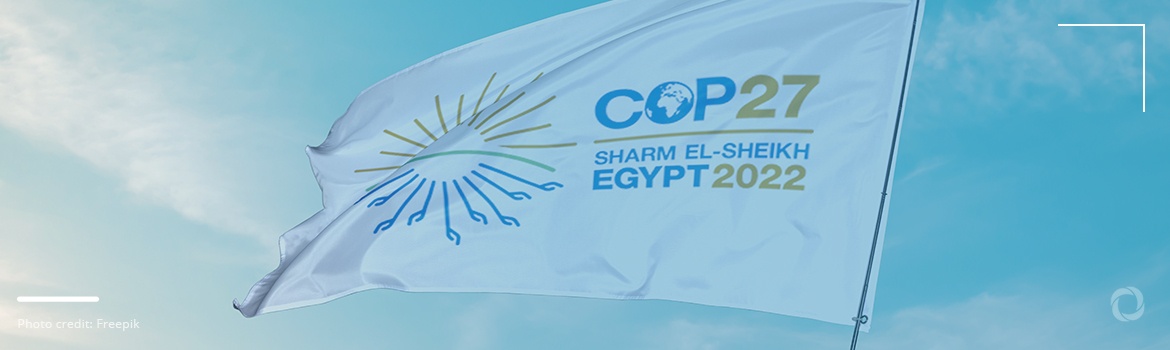 What is COP and what to expect from the forthcoming COP27? What is COP and what to expect from the forthcoming COP27?